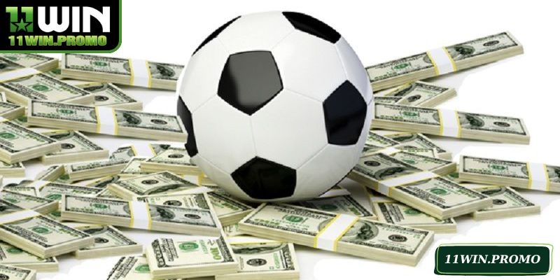 Cộng tác viên được hỗ trợ chương trình quảng bá chất lượng